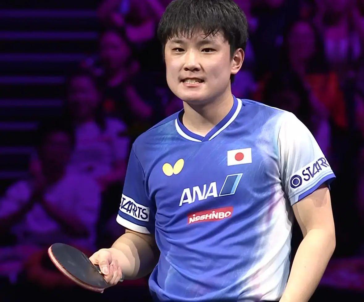 点评张本智, 的面前, dingy