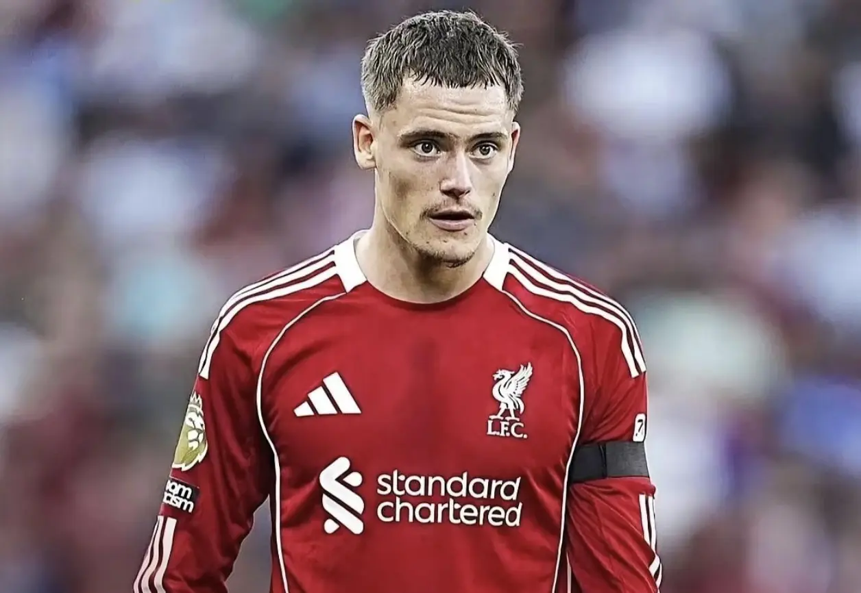 维尔纳作为 维尔纳作为